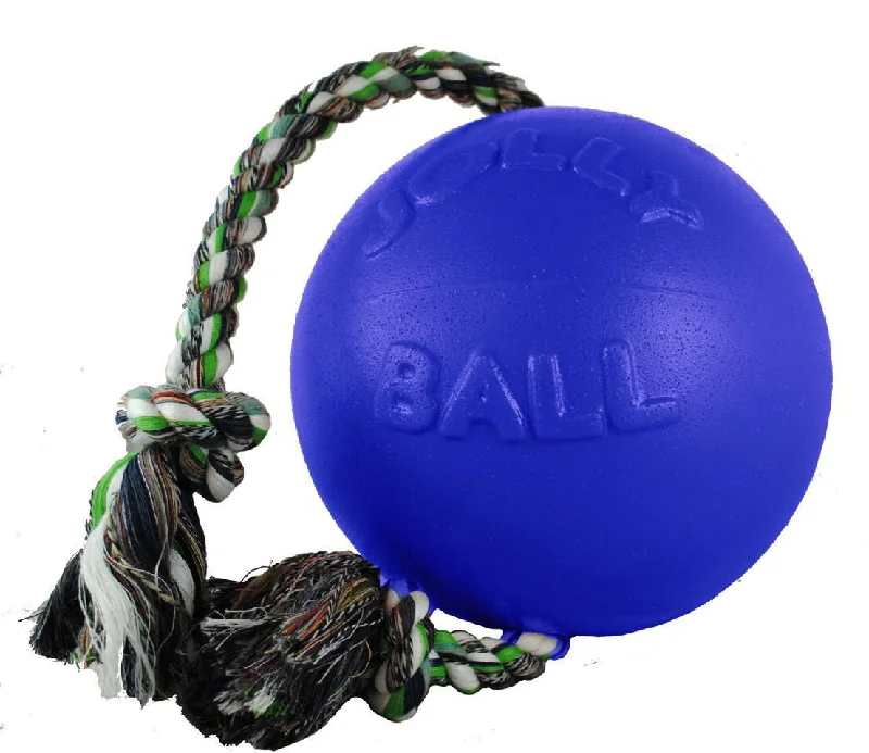  -Non-toxic pet toy recommendationsBlue Romp And Roll Dog Toy With Rope 8 Inch