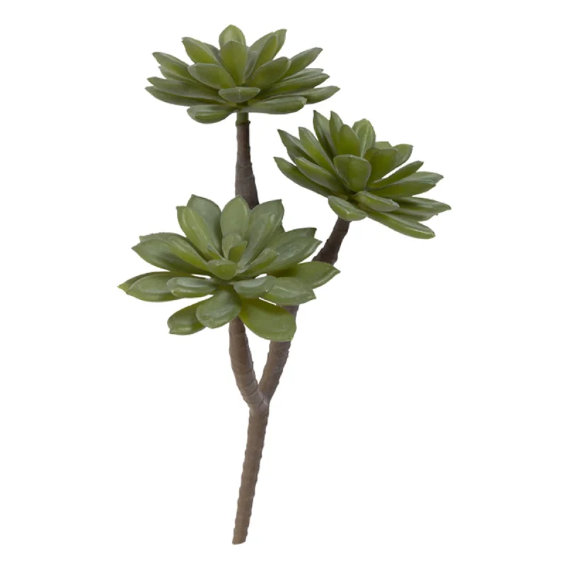 - Organic cotton dog bibsHabitat  Single Stem Faux Succulent