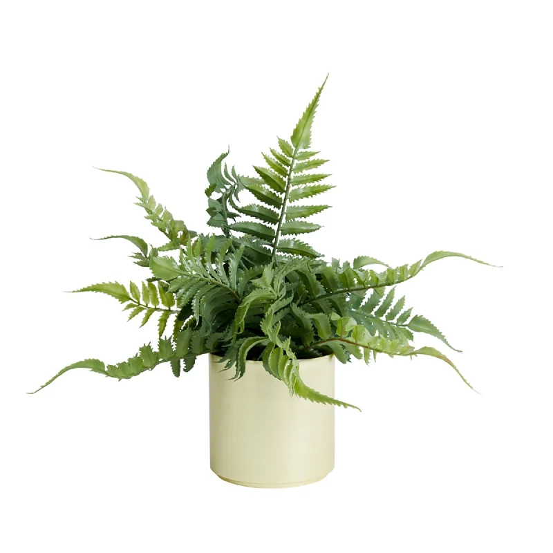 - Postoperative pet anti-licking Elizabethan collarHabitat Artificial Faux Fern in Brass Pot