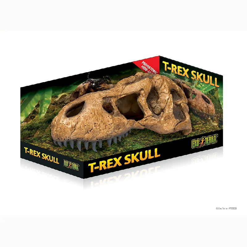 - ​​Pet toys under 10 yuanExo Terra Trex Skull Hiding Cave