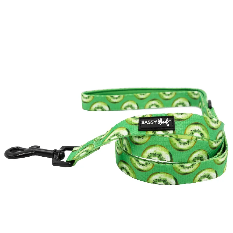 - Pregnant cat delivery room warming boxDog Leash  - Kiwi Krazy