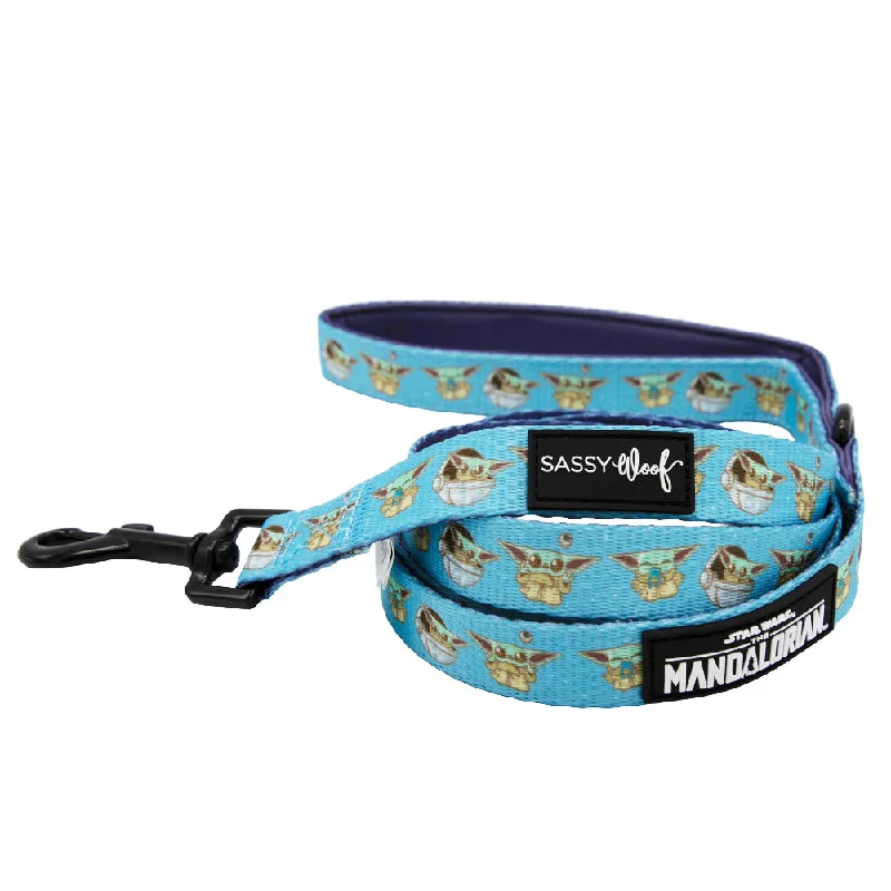  -Anti-slip claw protection raincoat FOR dogsDog Leash - STAR WARS™ The Mandalorian™